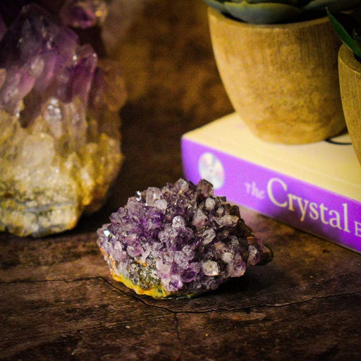 Crystal Classics Boxed Mineral Small Amethyst In Gift Box BXS07