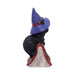 Nemesis Now Cat Figurine Hocus Small Witches Familiar Black Cat and Spellbook Figurine U5231S0