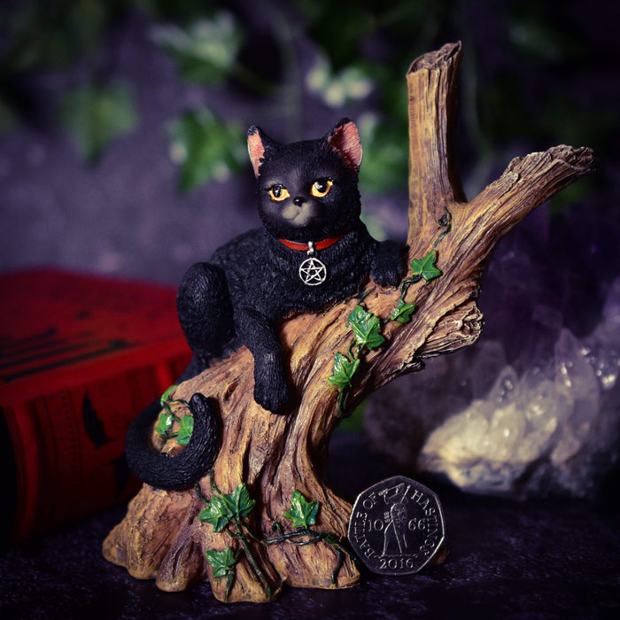 Nemesis Now Cat Figurine Onyx Witches Cat Figurine Sitting In A Tree B1806E5