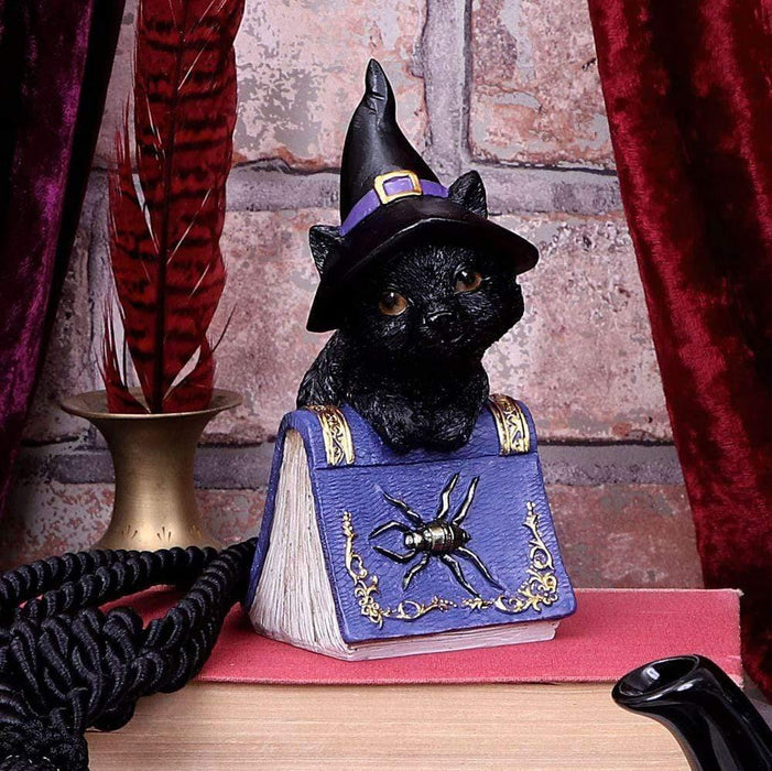 Nemesis Now Cat Figurine Pocus Small Witches Familiar Black Cat and Spellbook Figurine U5232S0