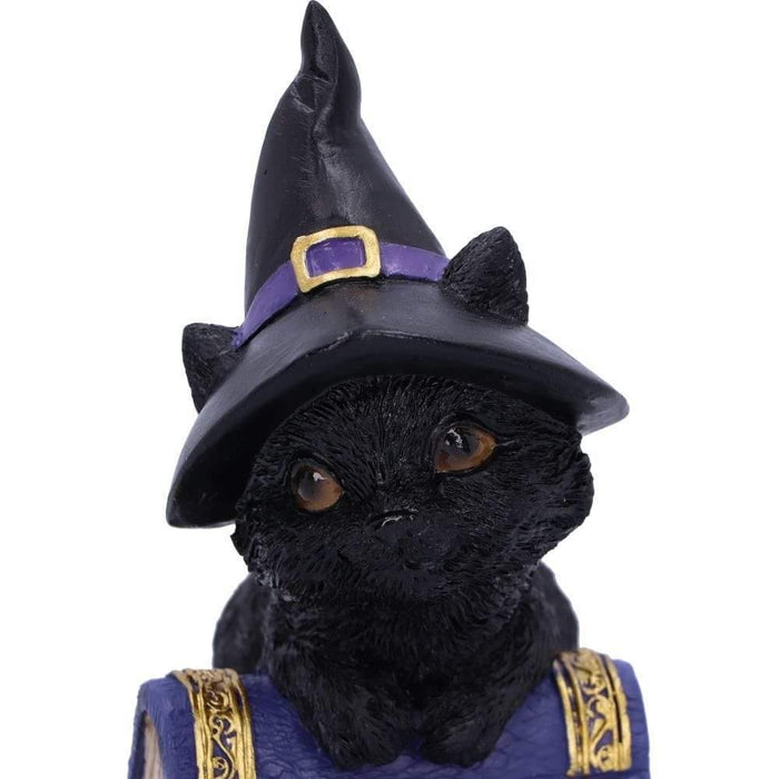Nemesis Now Cat Figurine Pocus Small Witches Familiar Black Cat and Spellbook Figurine U5232S0