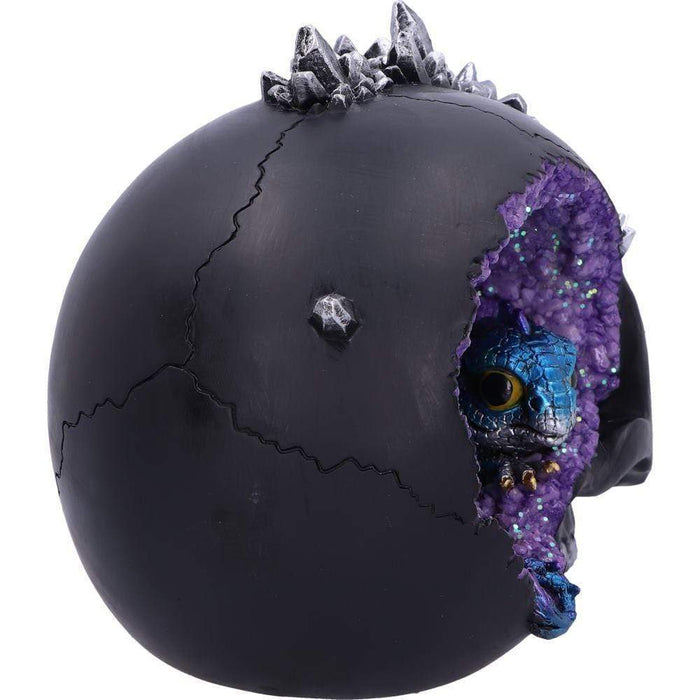 Nemesis Now Skull Ornament Crystal Cave Small Dragon Hiding within a Crystal Skull U5078R0