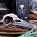 Nemesis Now Skull Ornament Edgar's Raven Skull Figurine Edgar Allen Poe Ornament B1986F6