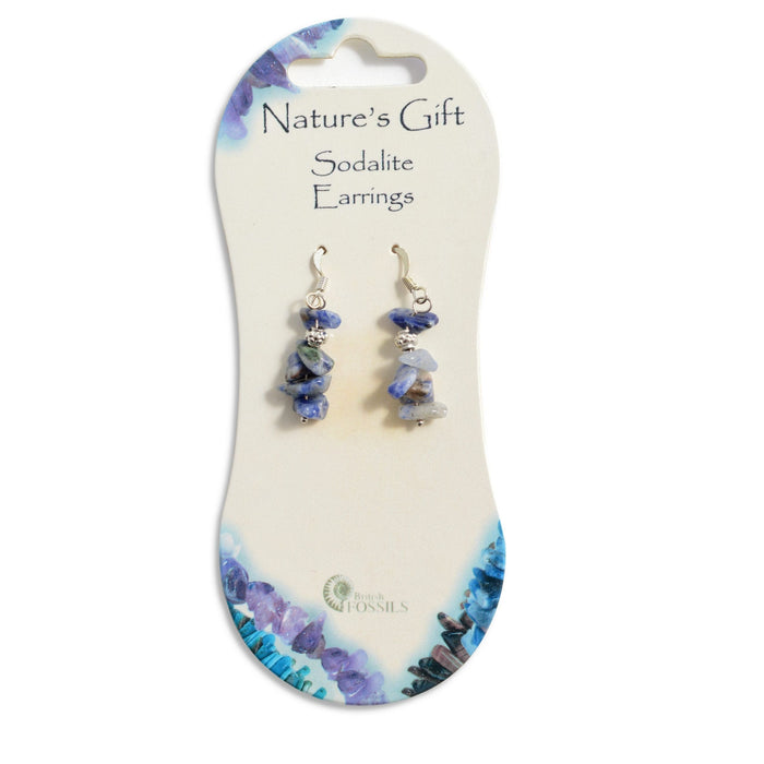 British Fossils Sodalite Natures Gift Stud Earrings NGSESO