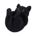 NEMESIS NOW Familiar Helper Black cat Mobile Phone Holder 12.5cm U6694A24