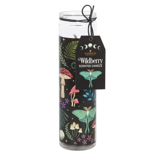Something Different Wholesale Wildberry Dark Forest Candle Tube DF_79623