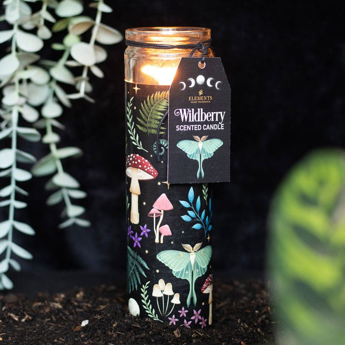 Something Different Wholesale Wildberry Dark Forest Candle Tube DF_79623