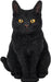 Vivid Arts Black Cat XRL-SC37-D
