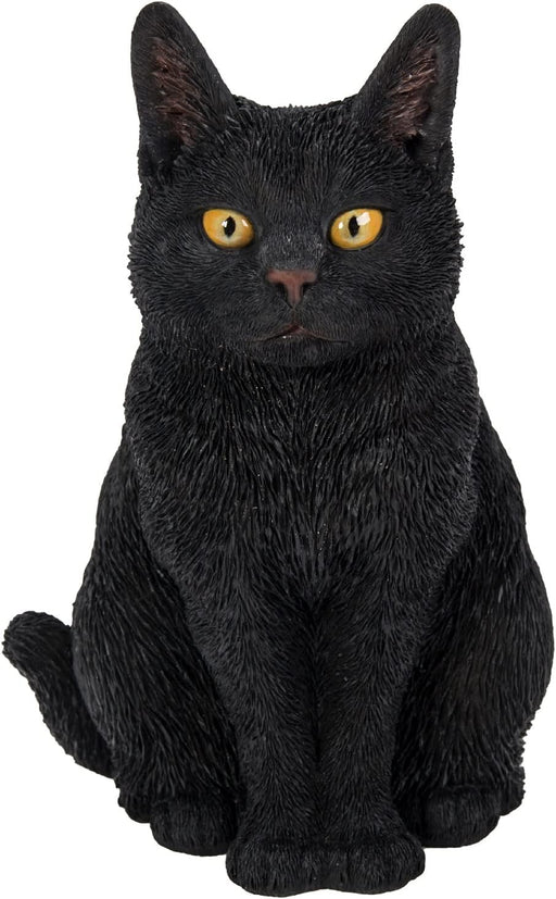 Vivid Arts Black Cat XRL-SC37-D