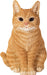 Vivid Arts Ginger Cat XRL-SC31-D