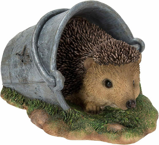 Vivid Arts Hedgehog In Rusty Pail XRL-HH11-D