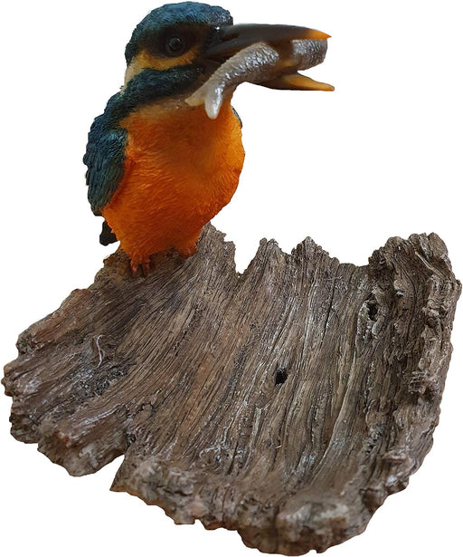 Vivid Arts Kingfisher On Driftwood BG-KF08-F