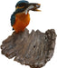 Vivid Arts Kingfisher On Driftwood BG-KF08-F