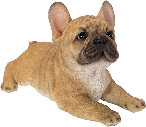 Vivid Arts Laying French Bulldog Puppy LP-FRBD-F