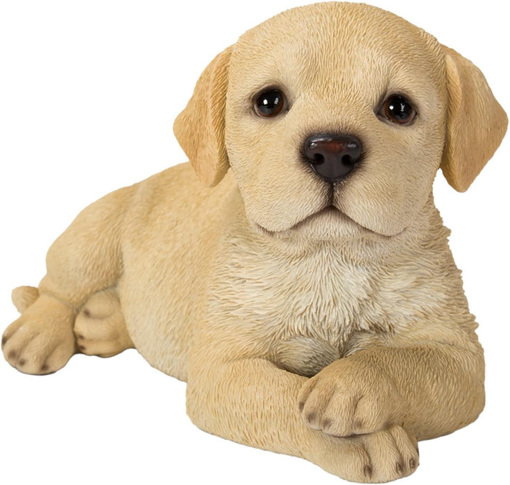 Vivid Arts Laying Golden Labrador Puppy LP-LABR-F