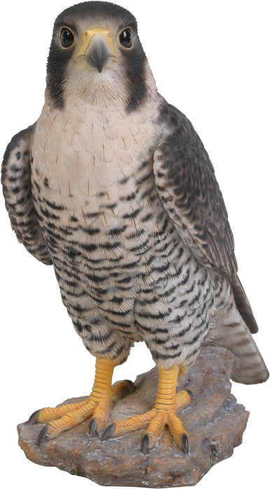 Vivid Arts Peregrine Falcon XRL-PFAL-B