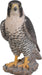 Vivid Arts Peregrine Falcon XRL-PFAL-B