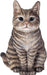 Vivid Arts Tabby Cat XRL-SC33-D