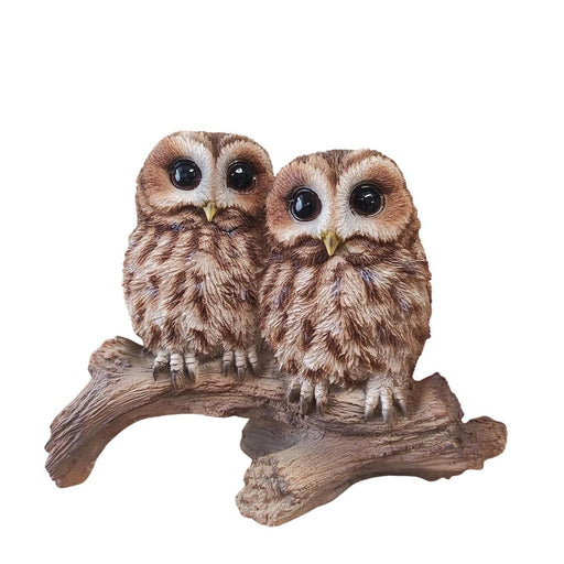 Vivid Arts Tawny Owls Branch BG-TWNY-D