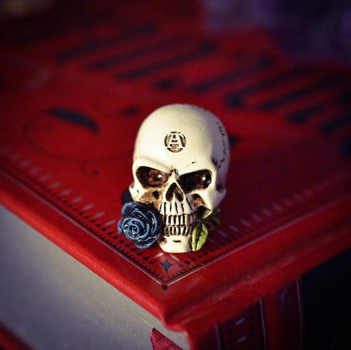 Alchemy Skull Ornament Miniature Alchemist Skull By Alchemy VM6