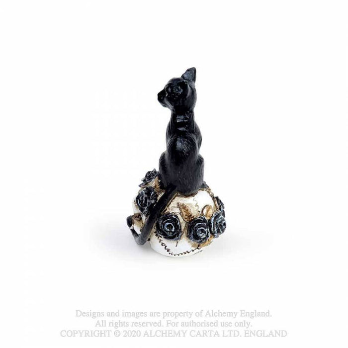 Alchemy Skull Ornament Miniature Cat and Skull By Alchemy VM3