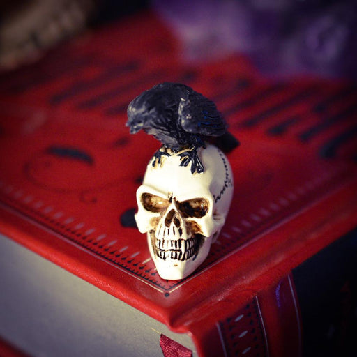 Alchemy Skull Ornament Miniature Raven and Skull By Alchemy VM7