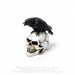 Alchemy Skull Ornament Miniature Raven and Skull By Alchemy VM7