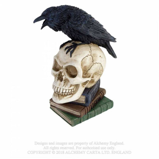 Alchemy Skull Ornament Poe's Raven By Alchemy V17