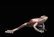 Art in Bronze Bronze Figurine Frog Butler & Peach Miniature Bronze Sculpture 2043