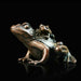 Art in Bronze Bronze Figurine Small Frog with Baby Butler & Peach Miniature Bronze Sculpture 932
