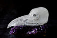 Crystal Classics Crystal Skull Quartz Raven Crystal Skull