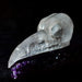 Crystal Classics Crystal Skull Quartz Raven Crystal Skull