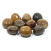 Crystal Classics Gemstone Petrified Wood Gemstone GS29