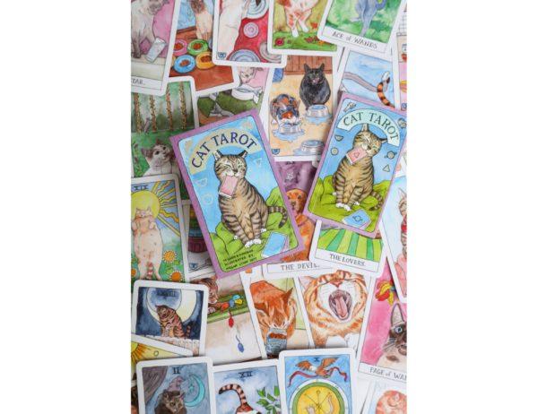 David Westnedge Tarot Cards Cat Oracle and Tarot Cards 2298