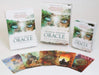David Westnedge Tarot Cards Mystical Shaman Oracle and Tarot Cards 2828L