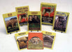 David Westnedge Tarot Cards Power Animal Oracle and Tarot Cards 2837