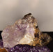 Dolphin Minerals Crystal Amethyst Mix