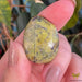 Dolphin Minerals Gemstone Atlantisite Gemstone