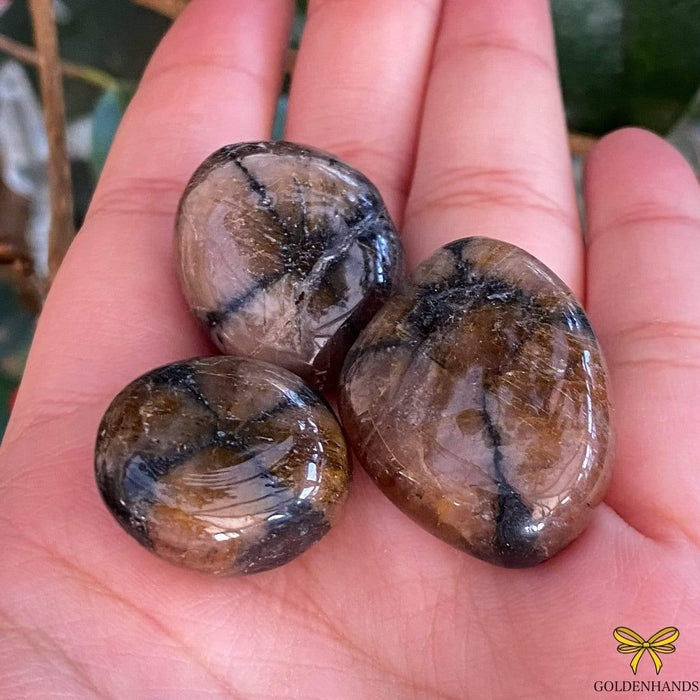 Dolphin Minerals Gemstone Chiastolite Gemstone