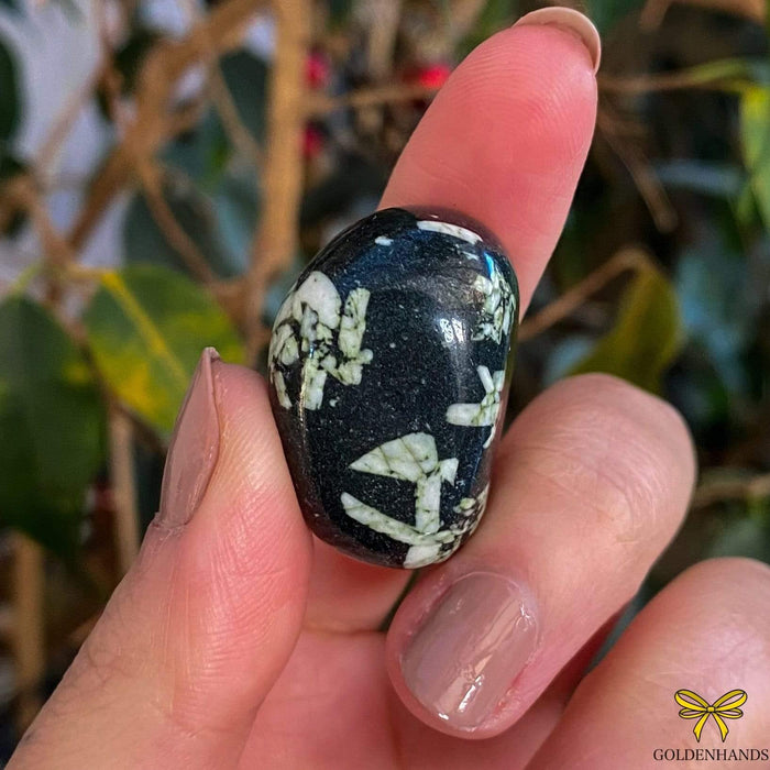 Dolphin Minerals Gemstone Chinese Writing Stone Gemstone