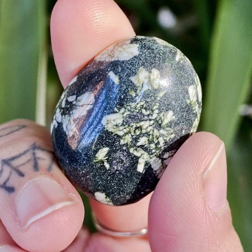 Dolphin Minerals Gemstone Chinese Writing Stone Gemstone