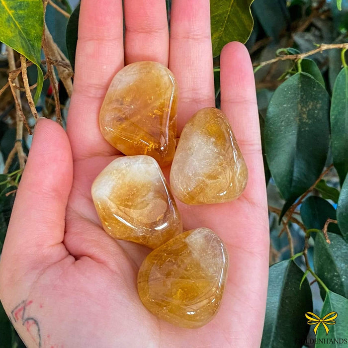 Dolphin Minerals Gemstone Citrine Gemstone