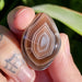 Dolphin Minerals Gemstone Madagascar Agate Gemstone