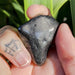 Dolphin Minerals Gemstone Shungite Gemstone