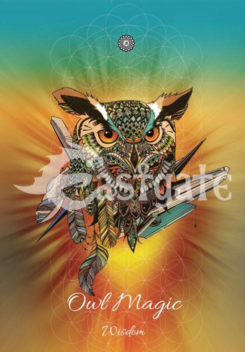 Eastgate Greeting Card Owl Magic Card KA3