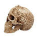 GOLDENHANDS Cranial Drakos Engraved Dragon Skull Ornament 19.5cm U4465N9