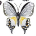 Joe Davies Hanging Plaque White Bright Metallic Medium Butterflies 281051 White