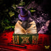 Nemesis Now Cat Figurine Binx Small Witches Familiar Black Cat and Spellbook Trinket Box U5282S0