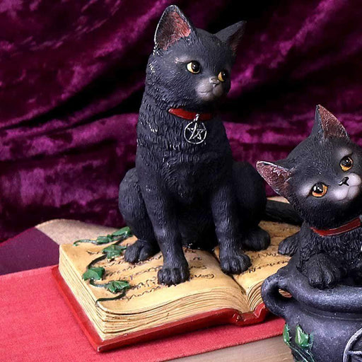 Nemesis Now Cat Figurine Eclipse Cat Spell Book Figurine Wiccan Witch Gothic Ornament B1808E5