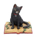 Nemesis Now Cat Figurine Eclipse Cat Spell Book Figurine Wiccan Witch Gothic Ornament B1808E5